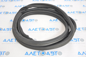 Door seal rear left Mini Cooper Countryman R60 10-16