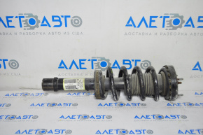 Shock absorber strut assembly front right Dodge Charger 11-23 AWD