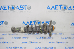 Shock absorber strut assembly rear left Mini Cooper Clubman R55 07-14