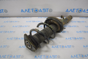 Front right shock absorber strut assembly Ford Escape MK3 13-13, oblique cup, brown spring