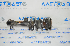 Shock absorber strut assembly front right Mini Cooper Clubman R55 07-14