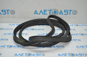 Chrysler 300 Trunk Lid Seal 11-23