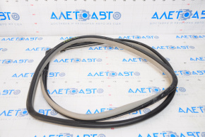 Door seal rear left Toyota Camry v55 15-17 usa ser