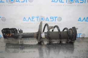 Rear left shock absorber assembly for Toyota Camry v55 15-17 usa SE XSE