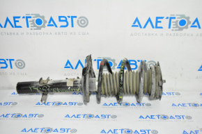 Shock absorber strut assembly front right Nissan Altima 19-24 AWD