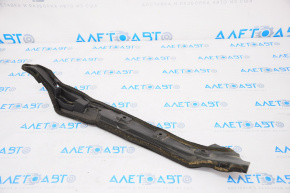 Right door-wing seal for Toyota Prius 50 16-22