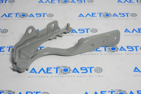 Hood hinge right Hyundai Sonata 15-19