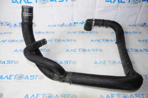 Lower cooling hose Dodge Dart 13-16 2.0 2.4