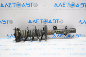 Shock absorber strut assembly front left Honda CRV 17-19 AWD