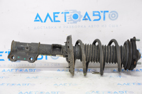 Shock absorber strut assembly front right Hyundai Elantra AD 17-19
