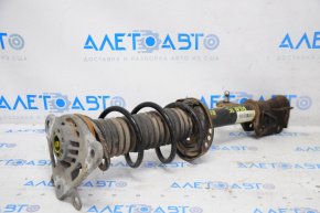 Shock absorber strut assembly rear right Jeep Renegade 15-18 AWD