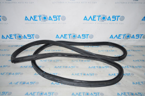 Rubber seal for the tailgate of a Lincoln MKX 16-18