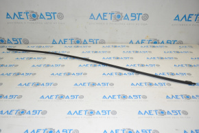 Rear bumper molding lower between plugs Honda Accord 18-22