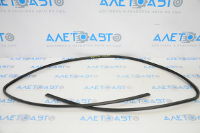Windshield Seal Nissan Versa 12-19 USA