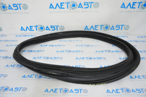Rubber Seal Trunk Door Ford Escape MK4 20-24