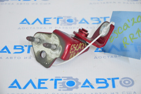 Door hinge upper rear right Ford Escape MK4 20-24