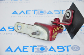 Door hinge upper front right Ford Escape MK4 20-24
