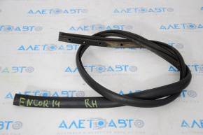 Door seal on the threshold right Buick Encore 13-19