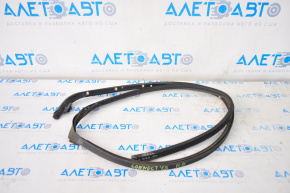 Door seal upper right Ford Transit Connect MK2 13-25