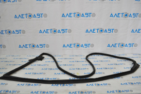 Lexus ES300h ES350 Front Right Door Seal 13-18