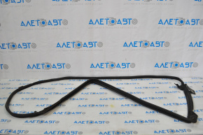 Lexus ES300h ES350 Front Right Door Seal 13-18