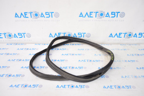 Nissan Maxima A36 16-23 Trunk Lid Seal