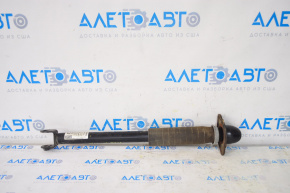 Shock absorber rear left Nissan Maxima A36 16-23