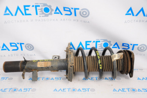 Shock absorber strut assembly front right Ford Escape MK3 13-13 straight cup, spring brown