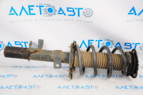 Shock absorber strut assembly front right Ford Escape MK3 13-13 straight cup, spring brown