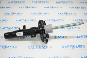 Shock absorber front right Ford Escape MK3 13- straight cup
