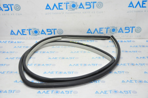 Door seal rear right Toyota Camry v50 12-14 usa gray