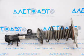 Shock absorber strut assembly rear left Jeep Renegade 15-18 FWD