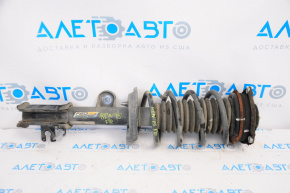 Shock absorber strut assembly front right Jeep Renegade 15-21 FWD