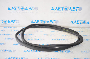 Door Seal Rear Left GMC Terrain 10-17