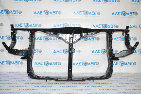 TV radiator panel assembly Lexus RX350 RX450h 10-15 with eyelashes