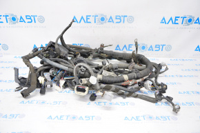 Wiring under the hood Toyota Sequoia 08-10