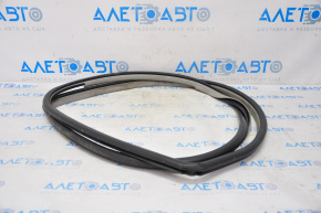 Door seal rear right Toyota Camry v55 15-17 usa gray