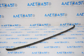 Hood seal on bumper VW Passat b8 16-19 USA