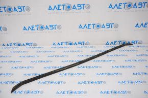 Hood seal on bumper VW Passat b8 16-19 USA