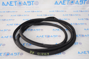 Ford Escape MK3 13-19 rear right door seal