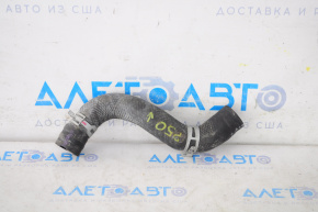 Lower right cooling hose for Toyota Prius 50 16-22