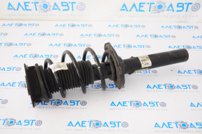 Shock absorber strut assembly front right VW Golf 15-21