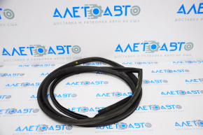 Kia Optima 11-16 rear right door seal