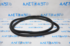 Door seal rear right Chevrolet Malibu 13-15