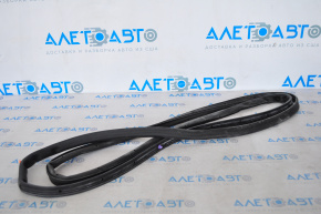 Lincoln MKZ 13-20 rear left door seal