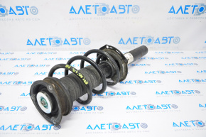 Shock absorber strut assembly front right VW Atlas 18-24