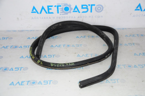 Rear left window seal Dodge Grand Caravan 11-20