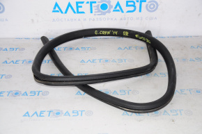 Rear right window seal Dodge Grand Caravan 11-20