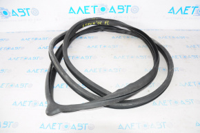 Door seal front left Dodge Grand Caravan 11-13