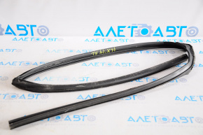 Rear left glass seal Acura ILX 13-22